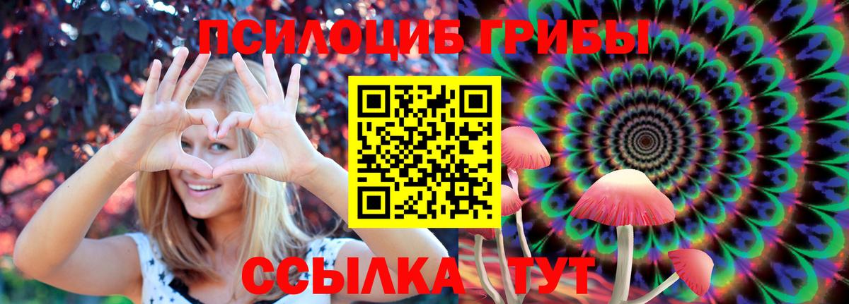 купить  цена  Галлюциногенные грибы GOLDEN TEACHER  Зеленодольск  Вход с VPN  Псилоцибиновые грибы мицелий 
